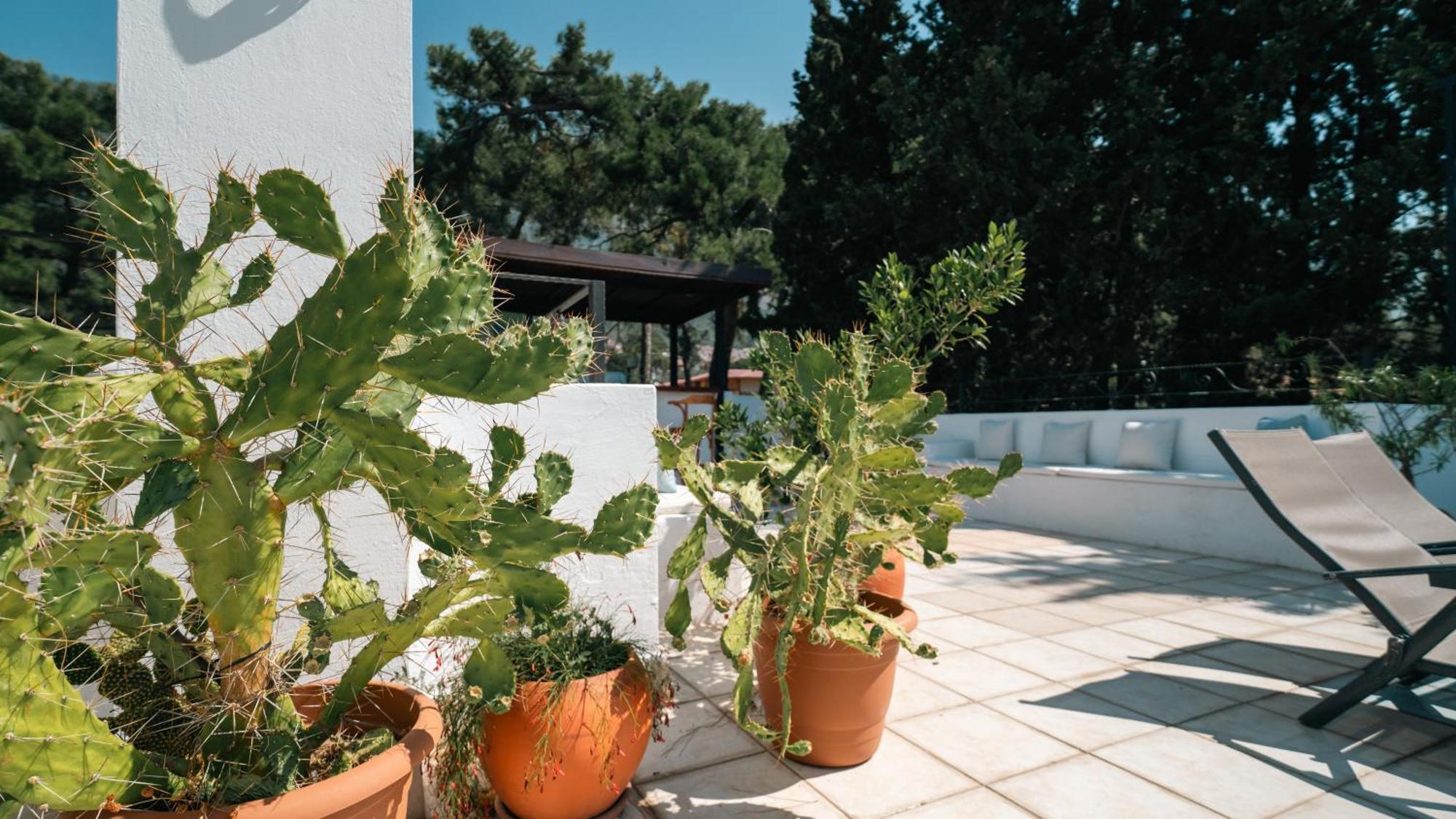 Totelya Hotel Акиака Екстериор снимка