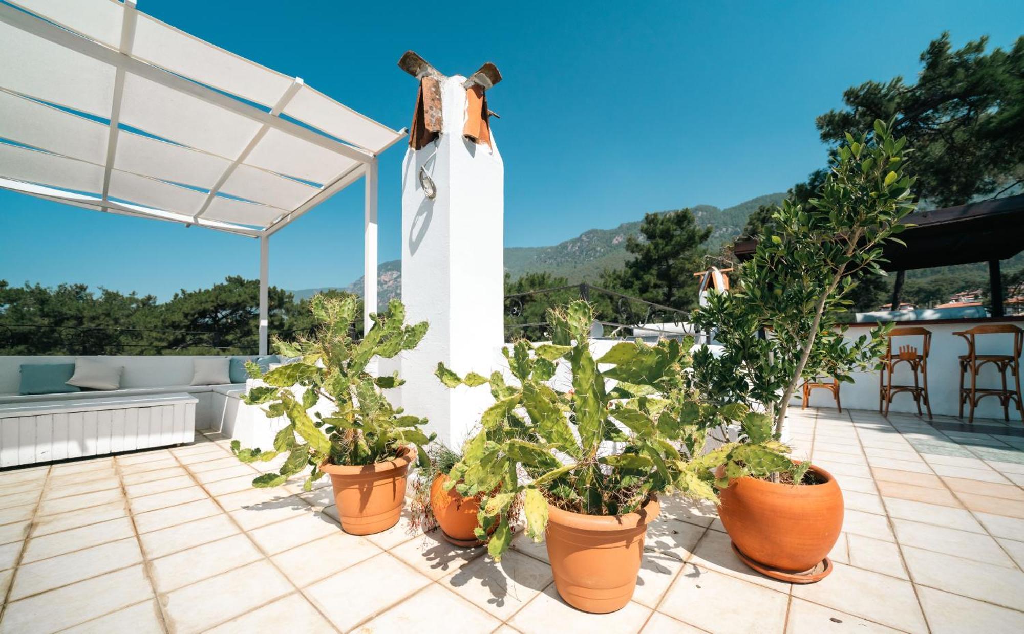 Totelya Hotel Акиака Екстериор снимка